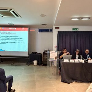 3. relazione ceccagnoli